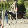 Babie Lato 2015